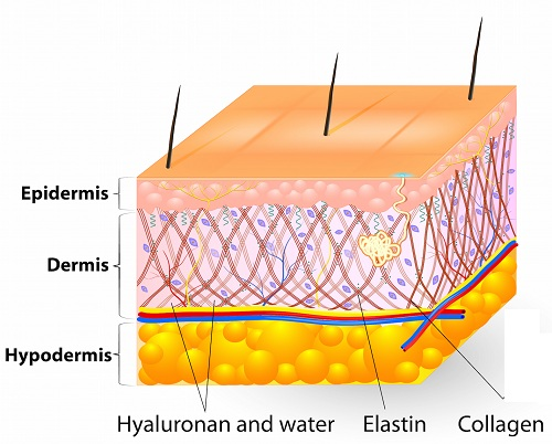 About Esthetics - THE SPA'AH